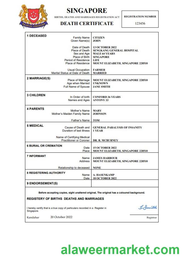 Singapore vital record death certificate Word and PDF template